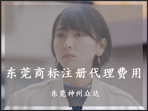 东莞商标注册代理费用一年多少钱?哪家商标代理公司价格比较优惠?